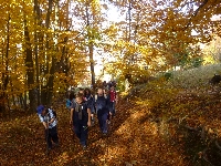 p1070551.jpg