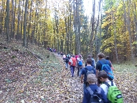p1070566.jpg
