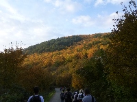 p1070580.jpg