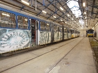 p1070667.jpg