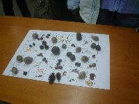 dsc05191.jpg