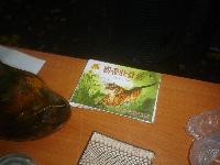 dsc05202.jpg
