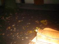 dsc05203.jpg