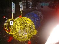 dsc05207.jpg