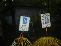 dsc05208.jpg