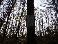 p1080521.jpg