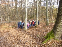 p1080524.jpg