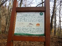 p1080527.jpg