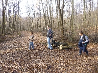 p1080533.jpg