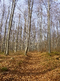 p1080544.jpg