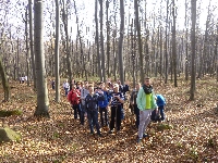 p1080547.jpg