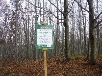 p1080549.jpg