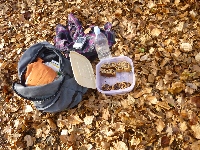 p1080553.jpg