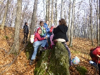 p1080555.jpg