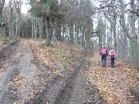 p1080557.jpg