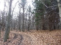 p1080560.jpg