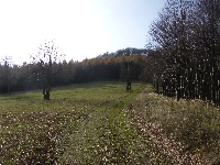 p1080561.jpg