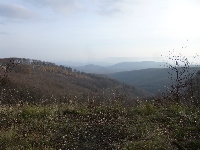 p1080613.jpg