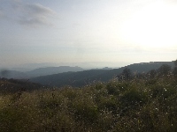p1080614.jpg