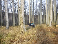 p1080617.jpg