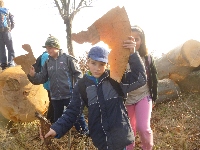 p1080620.jpg
