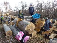 p1080624.jpg