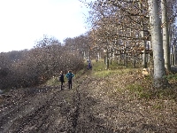 p1080627.jpg