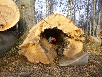 p1080630.jpg