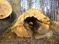 p1080631.jpg