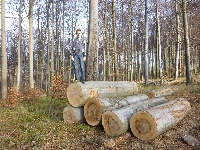 p1080633.jpg