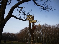 p1080637.jpg