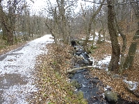 p1080791.jpg