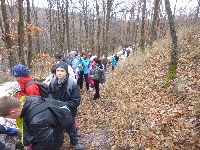 p1080793.jpg