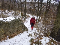 p1080804.jpg