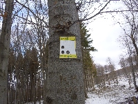 p1080842.jpg