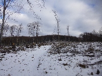 p1080844.jpg