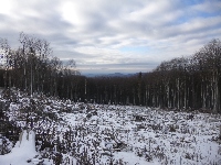 p1080848.jpg
