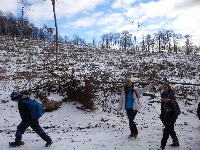p1080851.jpg