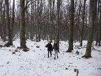 p1080859.jpg