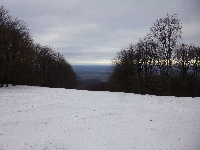 p1080880.jpg