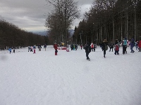 p1080907.jpg