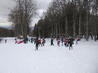p1080908.jpg