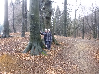 p1090410.jpg