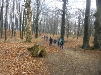 p1090413.jpg