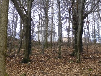 p1090427.jpg