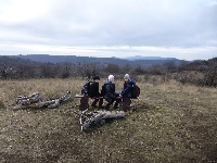 p1090433.jpg