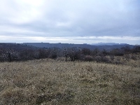 p1090434.jpg