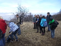 p1090437.jpg