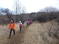 p1090439.jpg