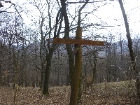 p1090524.jpg